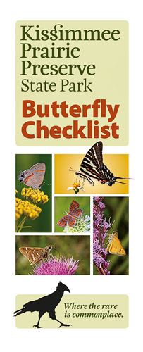 Butterfly Checklist